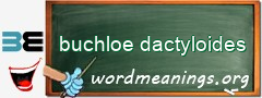 WordMeaning blackboard for buchloe dactyloides